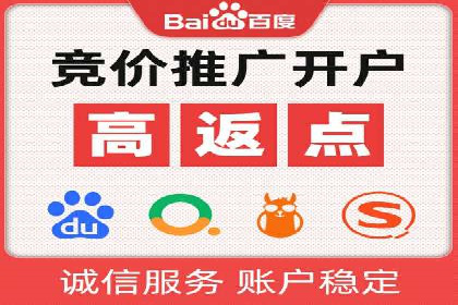 搜索开户返点政策下的成功案例分析
