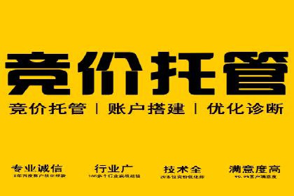 案例分享：百度SEO优化公司如何提高网站转化率
